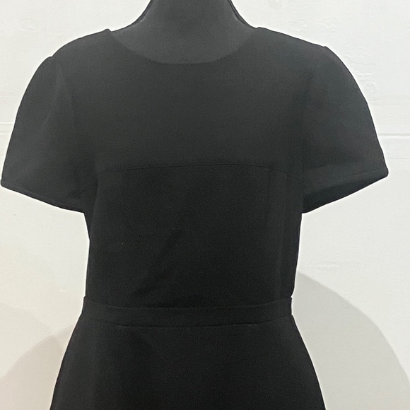 BCBG Black/Tan Colorblock Shift Dress - Picture 12 of 14